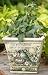 Pack of 2 Joseph's Studio "To Everything There is a Season" Garden Planters