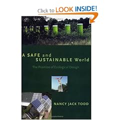 A Safe and Sustainable World: The Promise Of Ecological Design