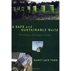 A Safe and Sustainable World: The Promise Of Ecological Design
