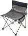 Stansport Apex Folding Sling Back Chair (Navy/Gray)
