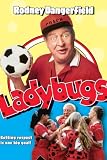 Ladybugs