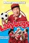 Ladybugs