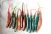 Haynes Signature Series 5 Super Grub Trout Killer Lures (12 Count)