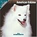 American Eskimo 2010 Wall Calendar #10005-10