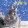 Rabbits 2010 Wall Calendar