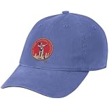 Reebok New York Giants Royal Blue Basic Logo Slouch Adjustable Hat
