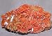Crocoite Natural Specimen - Australia