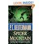 Spider Mountain: A Novel