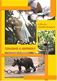 Chasing A Butterfly
