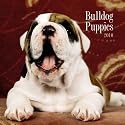 Bulldog Puppies 2010 Mini Wall