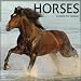 (12x12) Horses 16-Month 2012 Wall Calendar