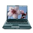 Toshiba Satellite A305D-S6831 15.4-inch Laptop (AMD Turion 64 X 2 Dual Core TL-64 Gold Processor, 3 GB RAM, 250 GB Hard Drive, DVD Drive, Vista Premium)