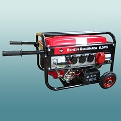 Stromerzeuger Generator Aggregat 6,5 PS 3000W E-Start