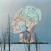 Songs for a Dead Pilot [Vinyl LP]