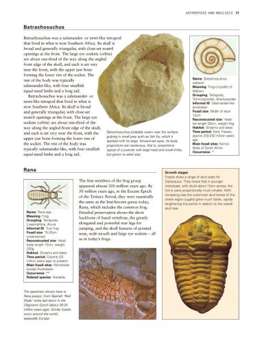 Cover image : The World Encyclopedia Of Fossils And Fossil-Collecting