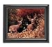 Two Buck Deer Large Antler Racks in Grass Photo Wall Picture Framed Art Print
