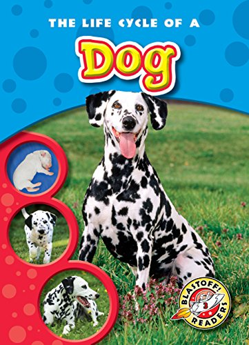 Life Cycle of a Dog, The (Blastoff! Readers: Life Cycles)