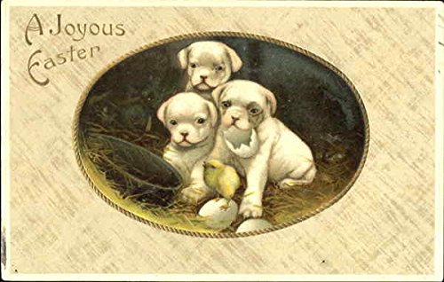 A Joyous Easter Dogs Original Vintage Postcard