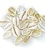 Darice(R) Cowrie Shell Beads - 25PK/Ivory