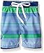 Kanu Surf Boys' Toddler Specter Stripe Swim Trunks