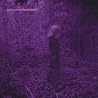 Image of album by Gjallarhorn