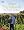 The Kitchen Gardener: Grow Your Own Fruit and Veg