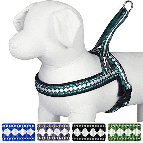 Blueberry Pet Harnesses Classic Solid No Pull Jacquard Print Neoprene Padded Dog Harness in Teal Blue 1" Large