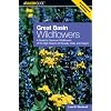 Great Basin Wildflowers: A Guide to Common Wildflowers of the High Deserts of Nevada, Utah, and Oregon (Wildflower Series)