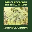 Luminous Groove