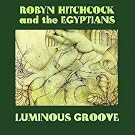 Luminous Groove