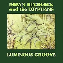 Luminous Groove