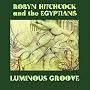 Luminous Groove