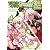 Fate/kaleid liner プリズマ☆イリヤ ツヴァイ! (4) (角川コミックス・エース 200-7)