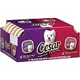 Cesar Canine Cuisine Variety Pack (Filet Mignon, Porterhouse Steak) for Small Dogs, 3.5-Ounce Trays (Pack of 24)