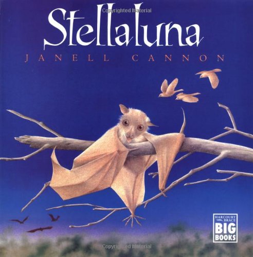Stellaluna Stellaluna