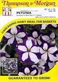 Thompson & Morgan 8486 Petunia Avalanche BLUE Star F1 Hybrid Seed Packet