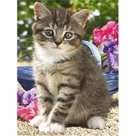 Ravensburger Cat In The Garden 1000pc Jigsaw Puzzle