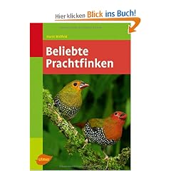 Beliebte Prachtfinken -