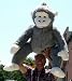 Search : GIANT STUFFED 40" PLUSH HUGE MONKEY CHIMP CHIMPANZEE GORILLA APE JUMBO BIG STUFFED ANIMAL - COLOR: GRAY -AMERICAN MADE IN THE USA AMERICA