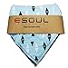 ESoulTech Washable Baby Bibs Gift Set