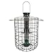 Droll Yankees Domed Cage Sunflower Seed Bird Feeder, 4 Feeding Ports, 15-Inch, Green