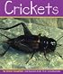 Crickets (Insects)