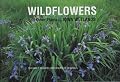 Wildflowers and Other Plants of Iowa Wetlands (Bur Oak Guide)