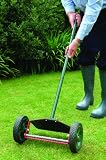 Lawn Scarifier (N652)
