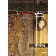 Die Flamencogitarre: Gitarrenschule f�r Spieler mit Vorkenntnissen. Mit �bungen aller elementaren Spieltechniken sowie Spielmaterial aller Flamencostilrichtungen
