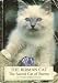   - The Birman Cat - The Sacred Cat of Burma