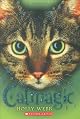 Cat Magic