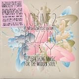 Buzzin` Fly Volume 2 - Mixed by Ben Watt