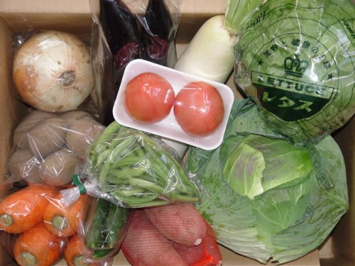 いい肉屋どっとコム 九州産 旬の野菜セット 8品目以上