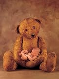 Campbell with Bear by Anne Geddes poster print,23.8 in. x 31.5 in.